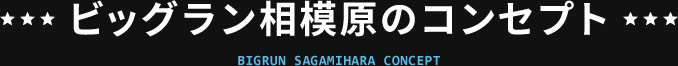 ビッグラン相模原のコンセプト